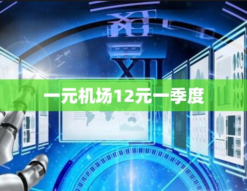 一元机场12元一季度