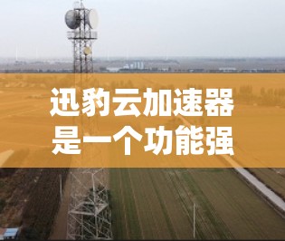迅豹云加速器是一个功能强大、性能稳定的工具，旨在帮助用户加速下载速度、处理文件和网络连接。如果你正在寻找一个功能全面、性能稳定的迅豹云加速器，以下是一些推荐的版本和功能亮点