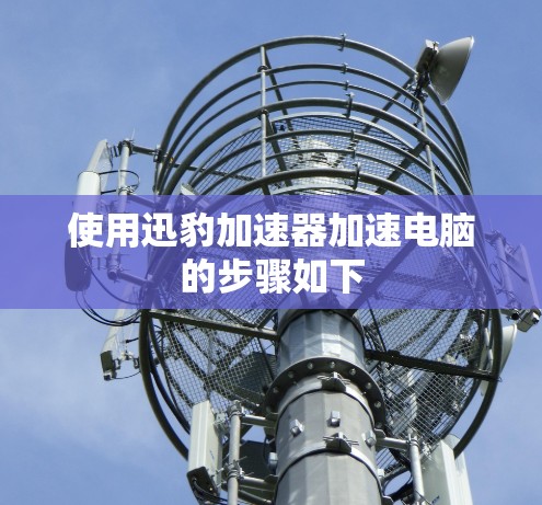 使用迅豹加速器加速电脑的步骤如下