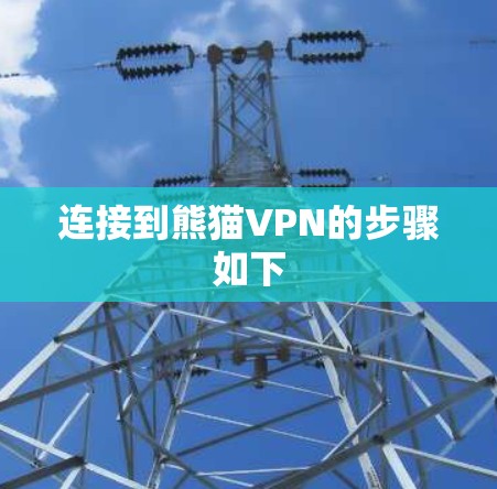 连接到熊猫VPN的步骤如下